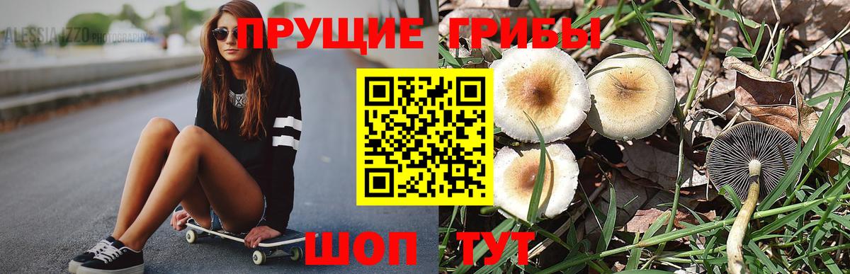 Галлюциногенные грибы GOLDEN TEACHER  Вход с VPN  как найти наркотики  Соликамск 